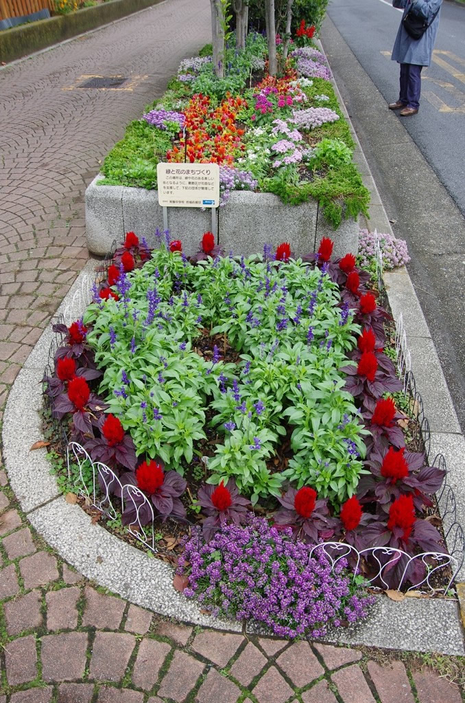 ときわ花小路花壇：写真