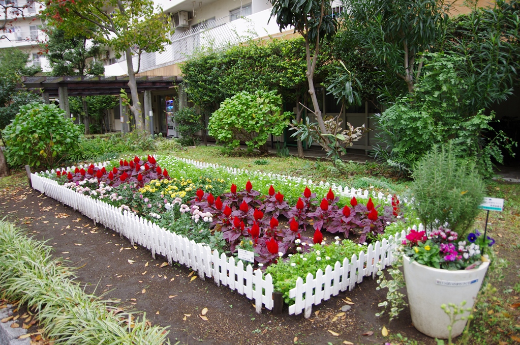 花壇コンクール かつしか 花いっぱいのまちづくり