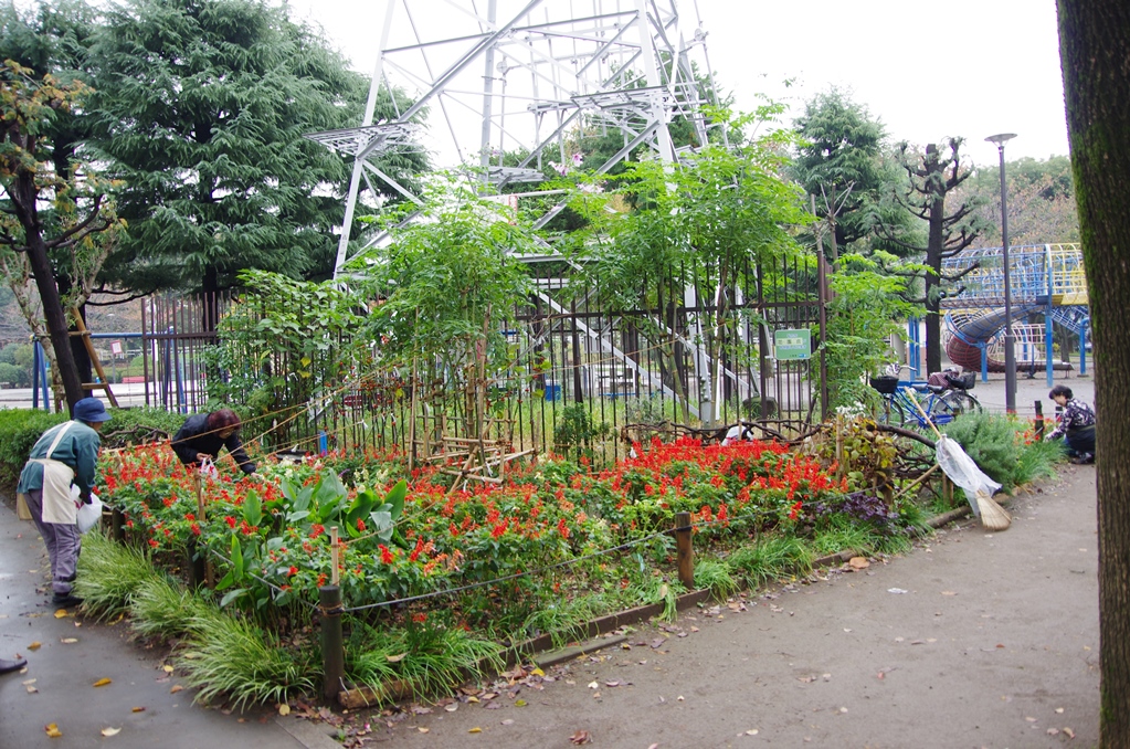 区立上千葉砂原公園花壇：写真