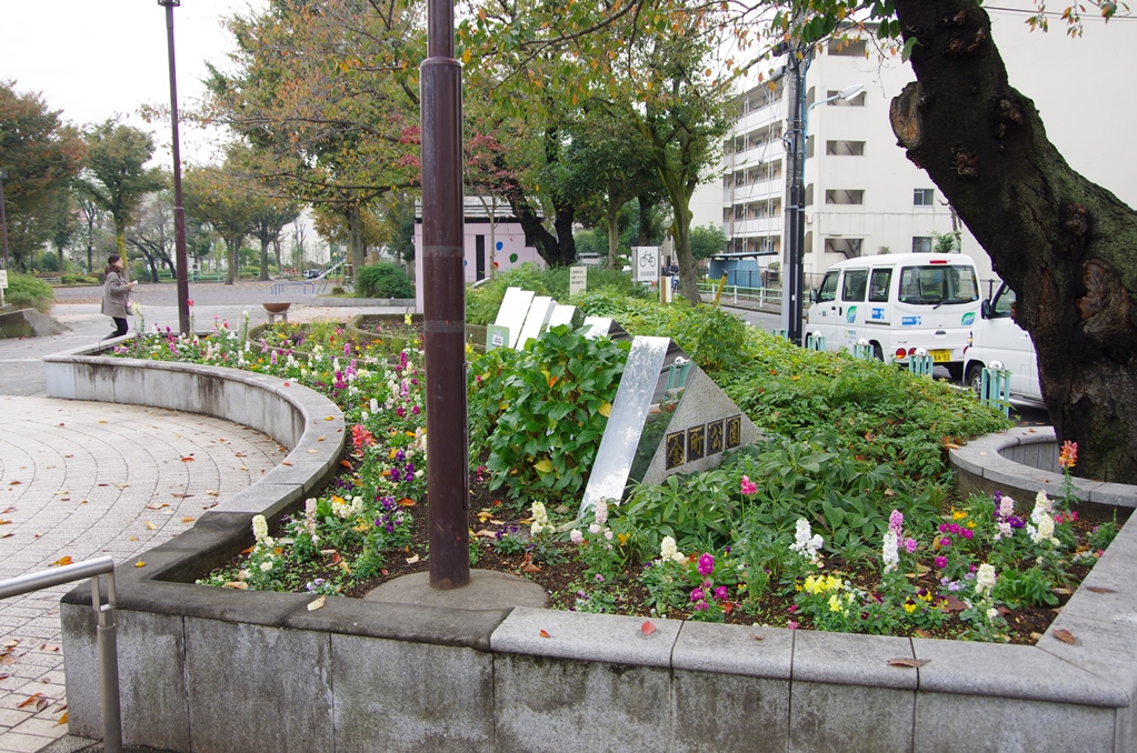 区立金町公園花壇：写真