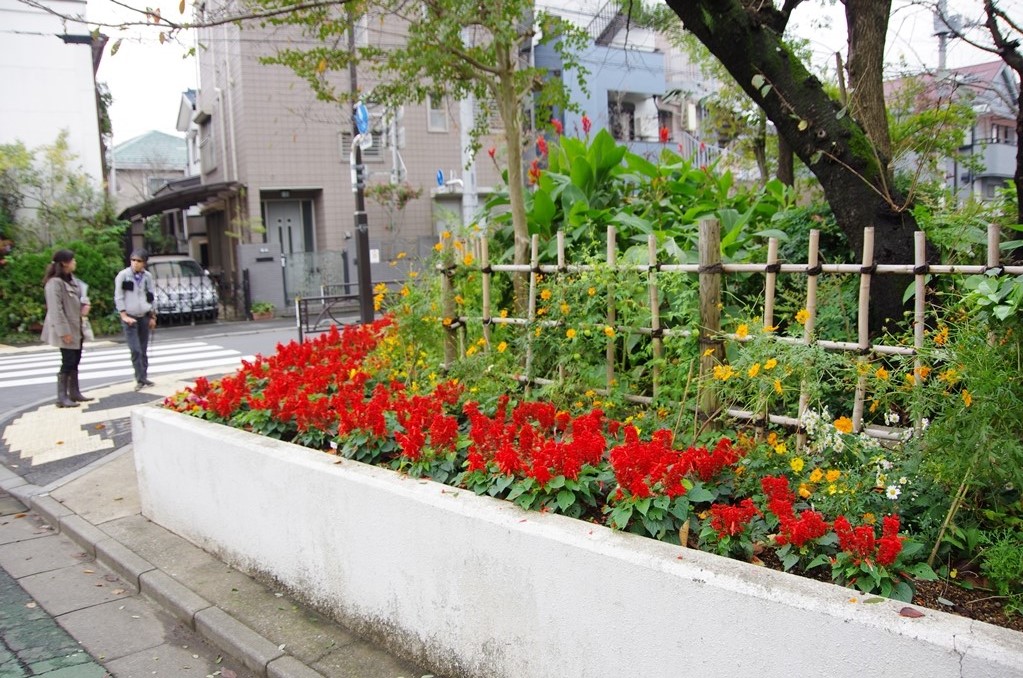 区立半田小学校花壇：写真