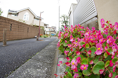 鎌倉4丁目緑道植樹帯花壇：写真