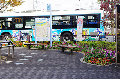 新柴又駅北口広場花壇：写真