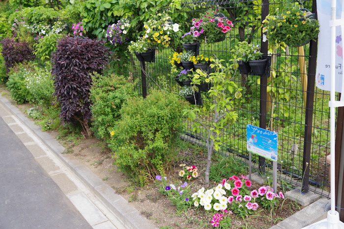 幼保連携型認定こども園すなはら:写真