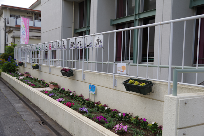 一之台中学校 bloom flowers:写真