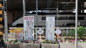 目に飛び込んできたのは・・・。