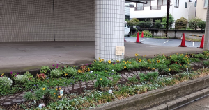 花壇をぜひ見にきてね♪