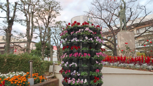 区役所へ行こう!