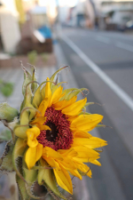 なんとか大丈夫