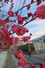 スーッと、静かに