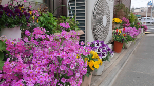 街のあちらこちらに