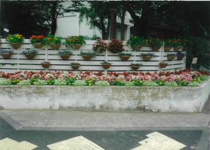 半田小学校花壇