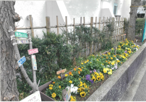 親児の花壇