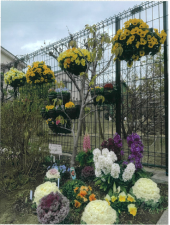 こども園すなはら花壇