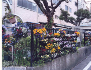 常盤中学校正門脇花壇