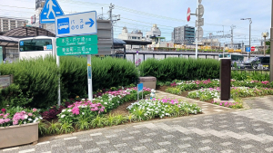 バスロータリーはいつも華やか✿