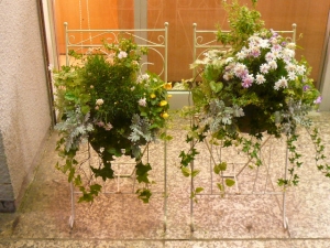 駅前できれいな花がお出迎え