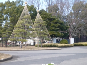 冬の面影を雪つりで楽しむ 水元公園(11)