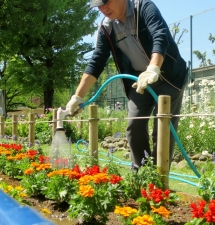 渋江公園の花壇の植え替えの様子