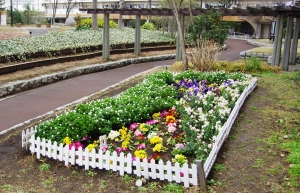 西新小岩リバーハイツ中庭の花壇