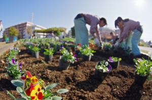 曳舟川親水公園（広場ゾーン）花壇