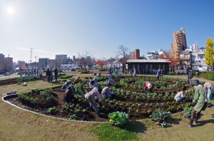 曳舟川親水公園（広場ゾーン）花壇