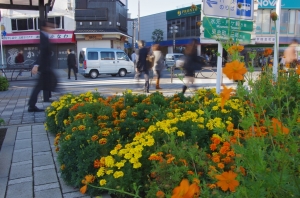 金町駅南口の駅前