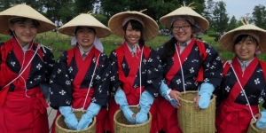 水元公園 菖蒲まつり