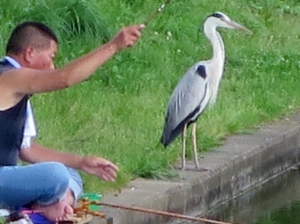 水元公園 その4