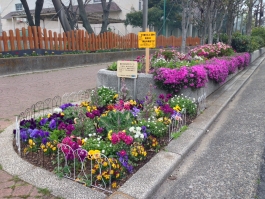 ときわ花小路