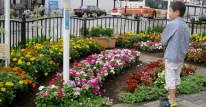 金町駅南口の花壇