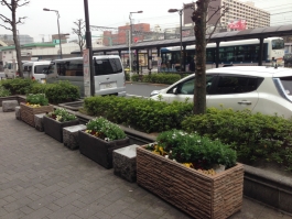 金町駅南口駅前の花壇です