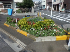 堀切東緑花の会花壇