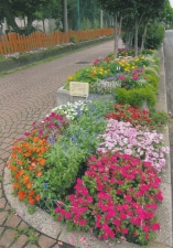 ときわ花小路花壇