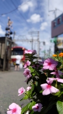 花の駅