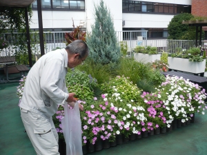 花がら摘みも心を込めて