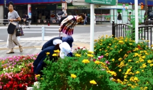 金町駅南口の花壇