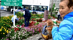 金町駅南口の花壇