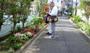 花壇コンクール調査の日