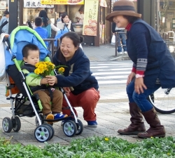 金町駅南口の花壇