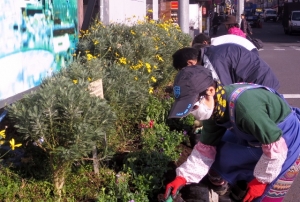 金町駅北口の花壇