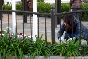 金町駅南口の花壇