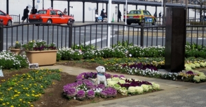 金町駅南口の花壇