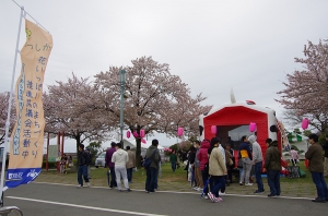 柴又さくらまつり