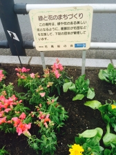 花風船の会  花の植え付け