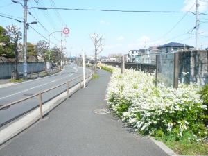 水元公園までの道標