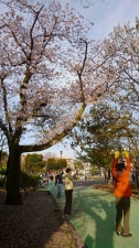 一日のスタート