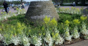 水元公園の葉ボタンの花
