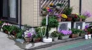 西水元三丁目の花壇