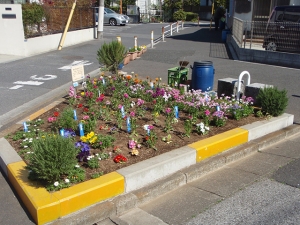 堀切東緑花の会花壇